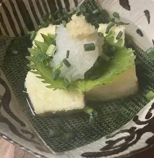 lightly deep-fried tofu