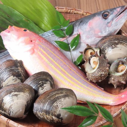 日本各地の旬魚を堪能◎