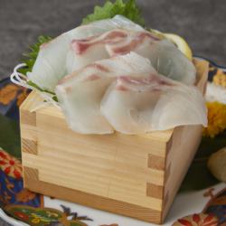 【海鮮】鯛のお造り/鯛のお造り 炙り