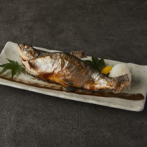 旬鮮魚　一本焼き