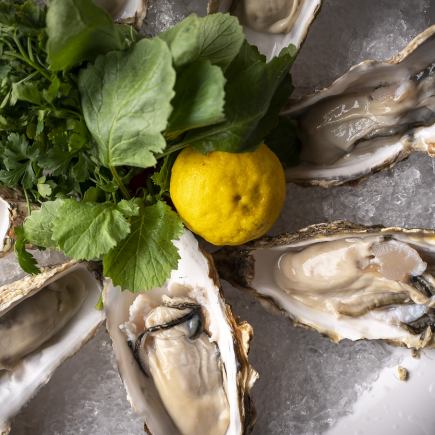 ≪オイスターハウス≫ 牡蠣とムール貝の贅沢ディナーセット 8100円(税込)≪お食事のみ≫