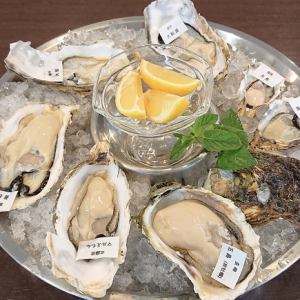 【国産岩牡蠣・真牡蠣】旬の岩牡蠣&真牡蠣おまかせ 10個セット