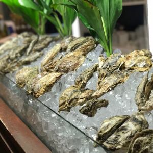 全国から厳選された旬の牡蠣のお得な食べ比べセットをご用意いたしました