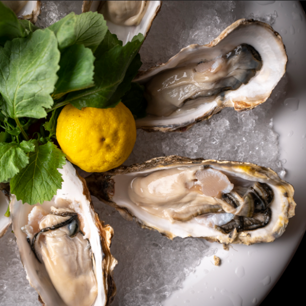 ＜国産真牡蠣のおまかせ５個セット＞全国から厳選した牡蠣を食べ比べ