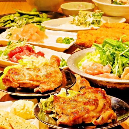 ◆高級套餐◆ 附2小時無限暢飲◎ 4,300日圓（含稅）