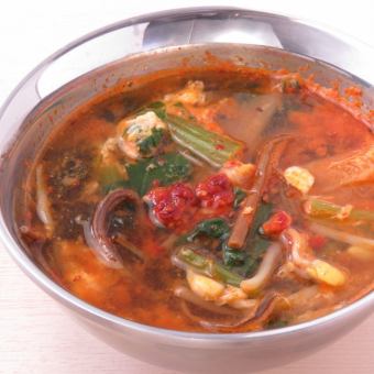 Dakgaejang soup