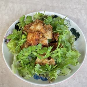 야겐 연골 튀김 박치 투성이