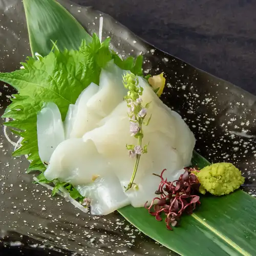 紋甲イカ刺身