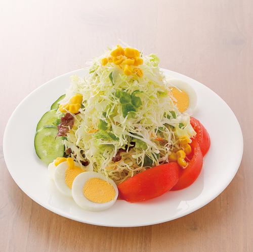 ナマステサラダ