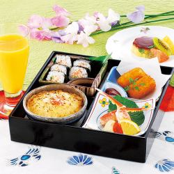 蕨类（仅限小学生以下）