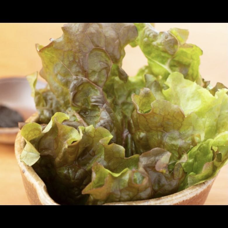 sunny lettuce