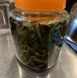 わさび茎の醤油漬け