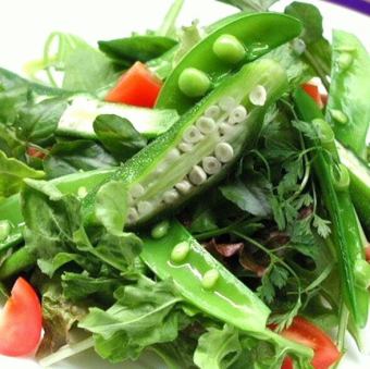 organic vegetable salad