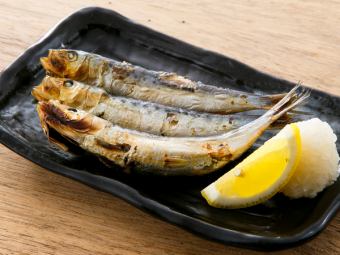 大分県産 黄金イワシ