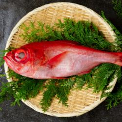 金目鯛（静岡・伊豆、千葉・銚子、東京・八丈島、高知・室戸、宮崎・日南）