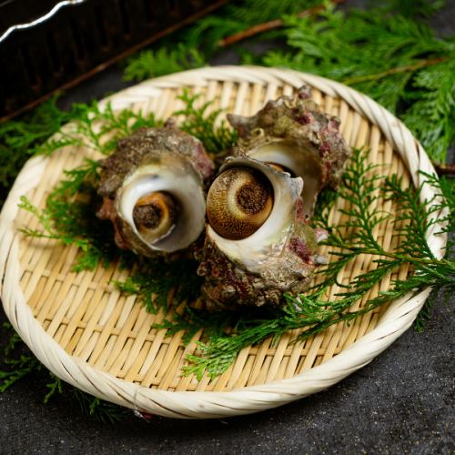 栄螺（長崎、山口、三重、千葉、石川）