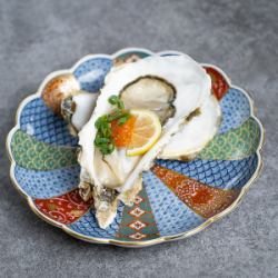 Fresh oysters (domestic)