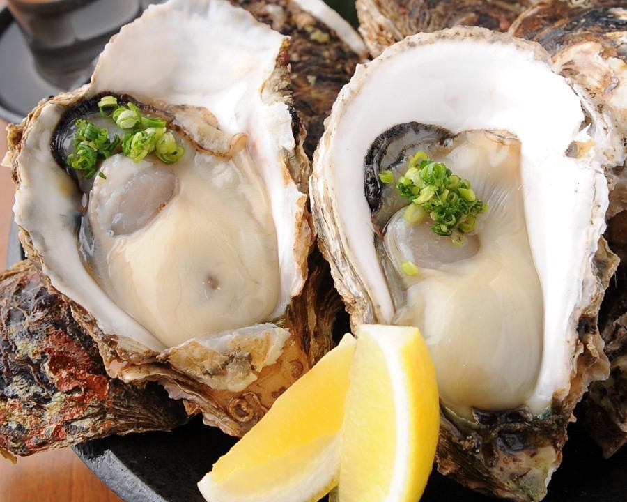 Izakaya where you can enjoy large raw oysters and fried oysters