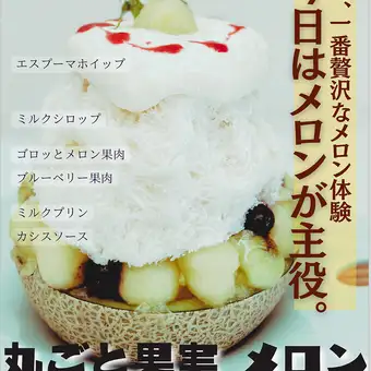   【数量限定】丸ごと果実 メロンこおり