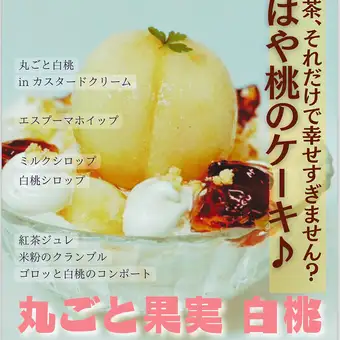 【数量限定】丸ごと果実 白桃こおり  