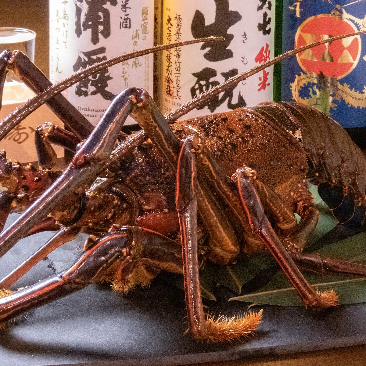 高知産朝どれ鮮魚や海鮮をふんだんに使ったメニューでおもてなし