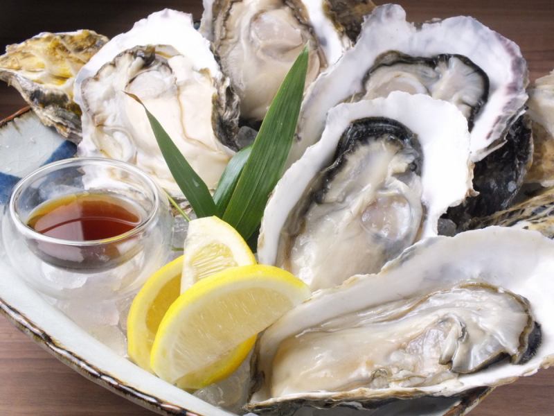 ● Sonic wave specialty! Oysters ●