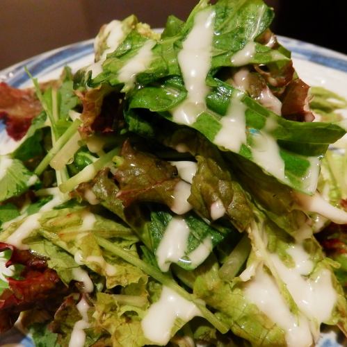 グリーンサラダ IPAドレッシング