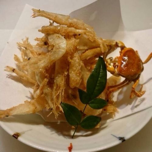 Deep-fried Toyama white shrimp