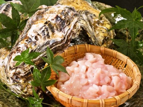 ~ From Senposhi, Hokkaido ~ Raw oysters