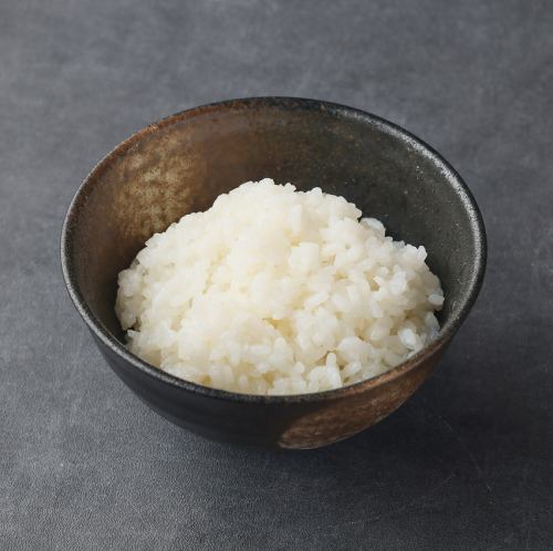 ご飯 並盛り