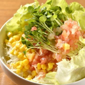 Shinkyo Salad