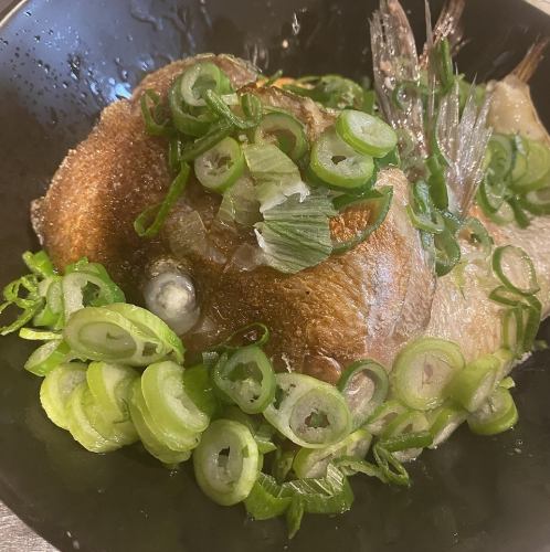 파 파! 참돔 카부트