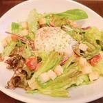 温玉シーザーサラダ