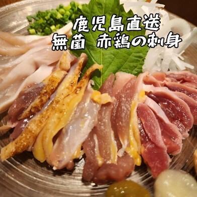 鹿児島直送無菌赤鶏の刺身