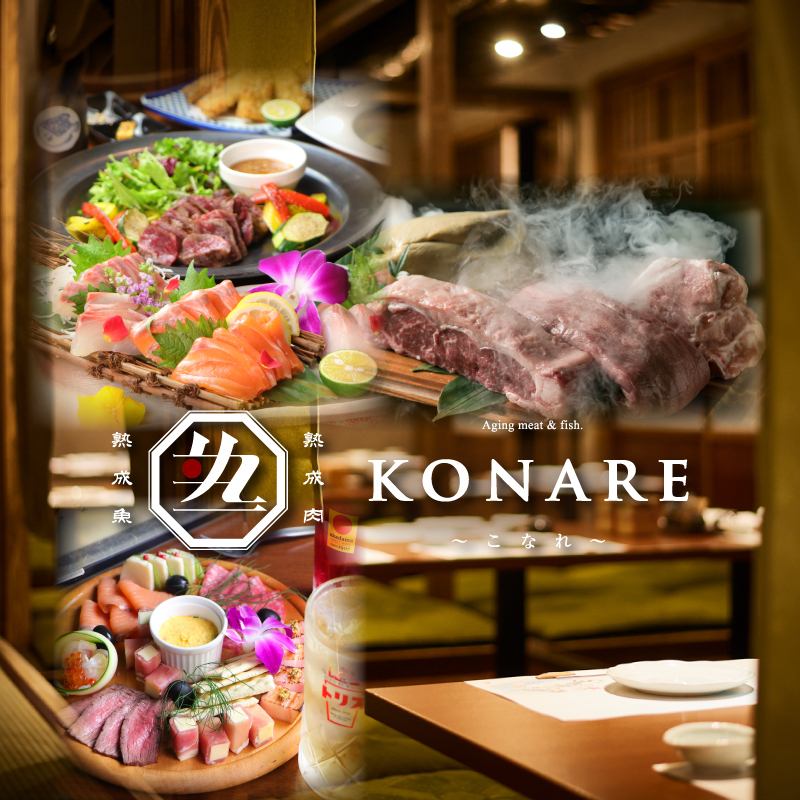 ＜梅田駅3分＞l個室で忘年会・新年会・接待◎熟成肉と熟成魚堪能コース4000円(税込)～