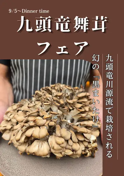 ★九頭竜舞茸フェア★