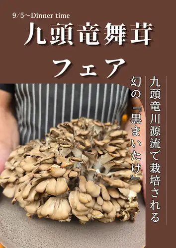 ★九頭竜舞茸フェア★