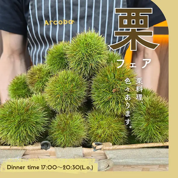 ★Chestnut Fair★
