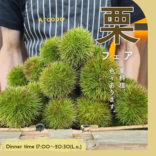 ★Chestnut Fair★