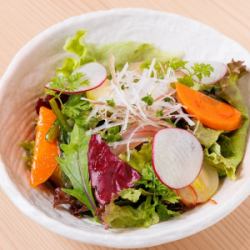 Seasonal Japanese salad