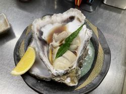 Rock oysters with ponzu sauce