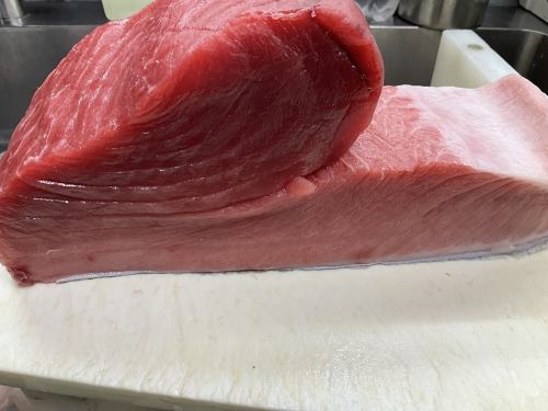 bluefin tuna / medium fatty tuna