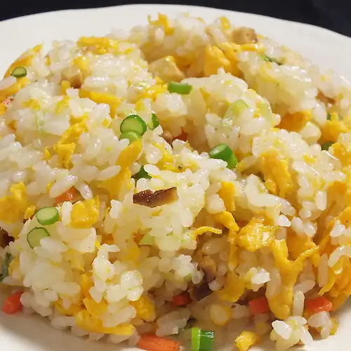 五目炒飯/叉焼丼