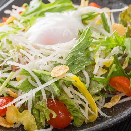 温玉サラダ/シーザーサラダ/和風サラダ/チョレギサラダ/鶏むね肉サラダ
