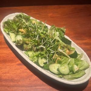 다양한 야채의 녹색 샐러드