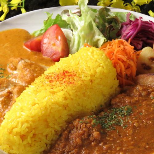 From day to night ♪ Lunch curry can be taken out!