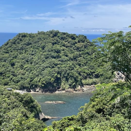 可以享用披薩和肉類的石爐燒烤套餐[附生啤酒、燒酒、威士忌無限暢飲]