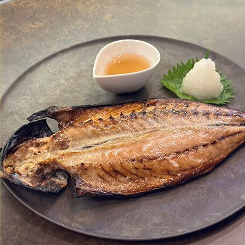 Akaze Brown Horse Mackerel