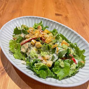 Caesar salad with real wasabi and dashi pepper