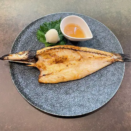 優雅的梭魚